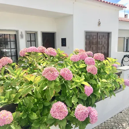 Silver Coast House Holiday home *