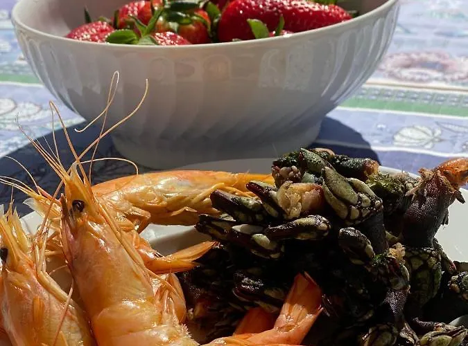 別荘 Silver Coast House