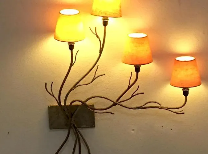 Silver Coast House 別荘